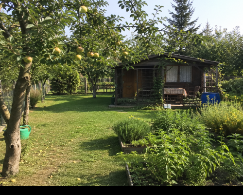 Działka ROD Józefów 600 m² z sadem i altaną
