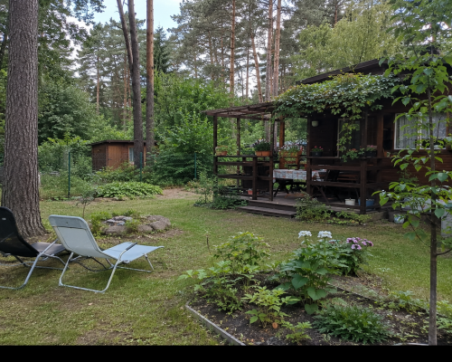 Działka ROD Otwock 650 m² przy lesie z altaną