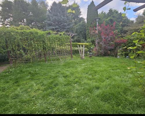 Działka ROD 300m2 Wólka Kozodawska Piaseczno