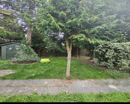 Działka ROD 300m2 Wólka Kozodawska Piaseczno