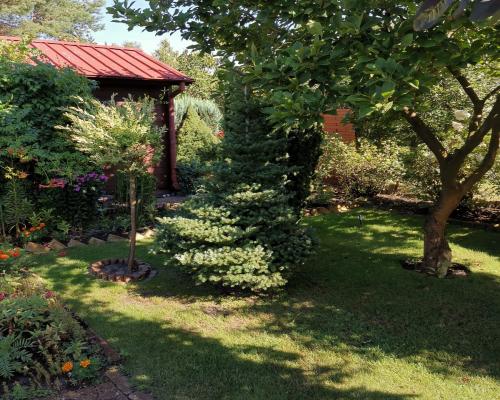 Działka ROD Skowronek Kajetany - 300 m²